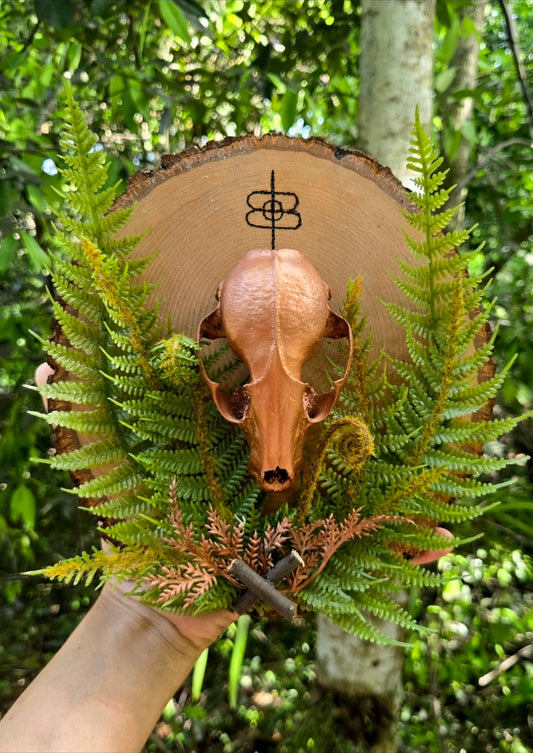 Natural Skull Mount